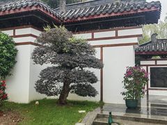 -武汉园博园(武汉自然博物馆)