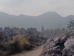-千岛湖石林