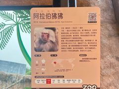 -武汉动物园