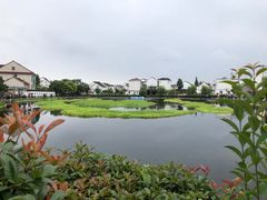 -金山嘴渔村