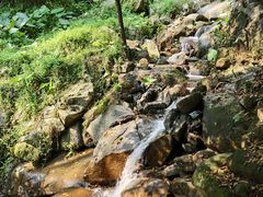 -火炉山森林公园