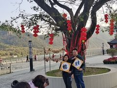 -飞霞风景名胜区