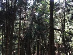 -井冈山风景名胜区-黄洋界