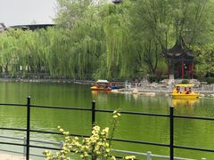 -莲湖公园