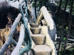 -疯狂屋