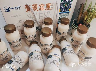 小西牛青藏高原纯牛奶超好喝