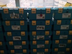 -乐博乐博少儿编程·机器人编程·信息学竞赛(未央校区)