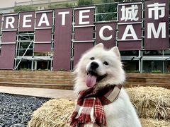 -J Create城市露营咖啡·简餐·宠物(上海动物园店)