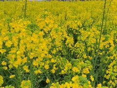 -中国天府农业博览园