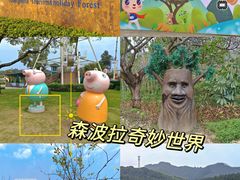 -森波拉奇妙世界