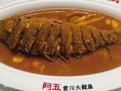 -阿五黄河大鲤鱼(海尚店)
