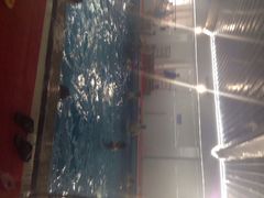 四季恒温游泳馆铁通店-西安山永游泳俱乐部（铁通）四季恒温游泳馆