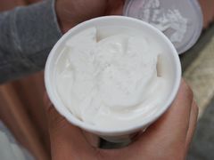 椰子雪糕-洪馨椰子