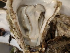 -蚝抵食·湛江生蚝(湾北路店)