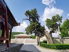 -黄帝陵