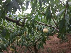 -金堂县云顶石城风景区