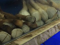 -青石桥市场北1-27号