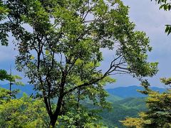 -莫干山风景区