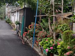 -秀水家园农家院住宿团建(石林峡店)