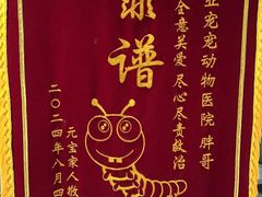 -宠宠动物医院(金鸡岭街店)