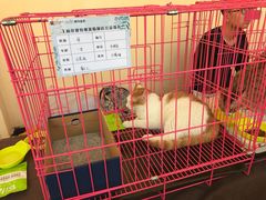 -王府井奥莱临潼小镇(临潼店)
