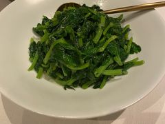 酒香豆苗-三号黄浦会Canton Table