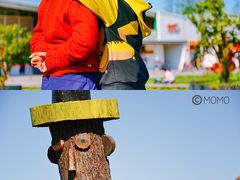 -前小桔亲子创意农场·草莓采摘·露营烧烤