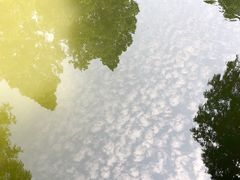 -浙江西子宾馆·牡丹厅