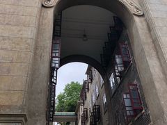 -武汉大学-樱园