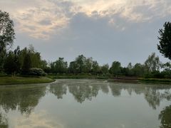 -东郊湿地公园