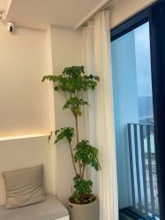 -Hello Lady发型设计