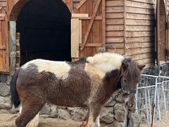 -HERRE·FARM 赫尔露营农场·团建聚会包场