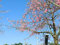 -人民公园(罗湖区)