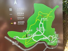 -上海佘山国家森林公园天马山园