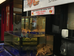 -蟹道乐(道顿堀本店)