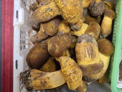 -双喜农庄·菌香园(安居家园店)