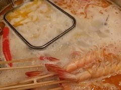 -海桐
