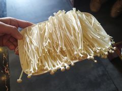 金针菇-双合福火锅(河北路店)
