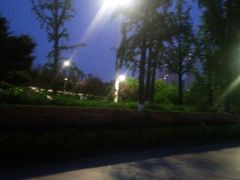 -龙头寺公园