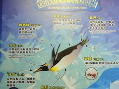 -珠海长隆海洋王国
