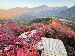 -水峪民俗村