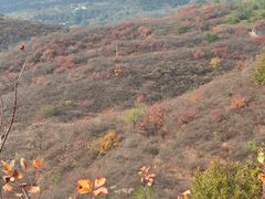 -北京西山国家森林公园