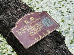 -中山公园