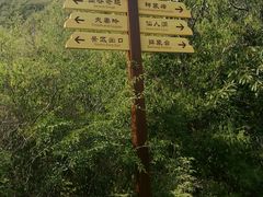 -老象峰