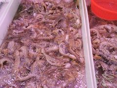 -滨海新区濒开里菜市场