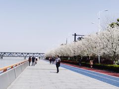 -钱塘江大桥