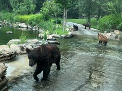 -北京野生动物园