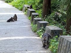 -九峰山