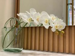 -V Charm芮槿肌肤管理