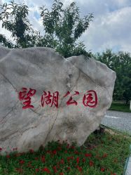 -北京新世纪妇幼医院·产检·分娩·计生(望京院区)